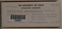 Image Associated With the Occurence